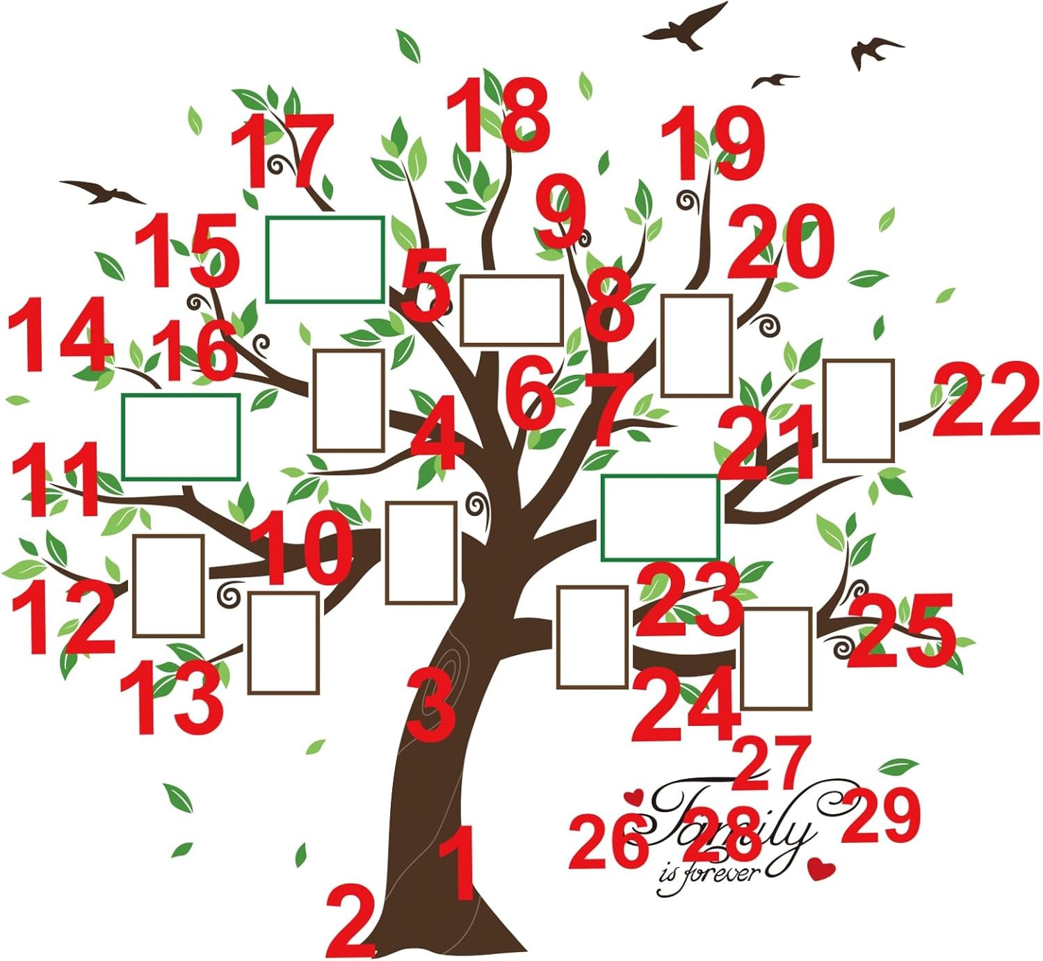decalmile Large Family Tree Wall Decals DIY Photo Frame Multi