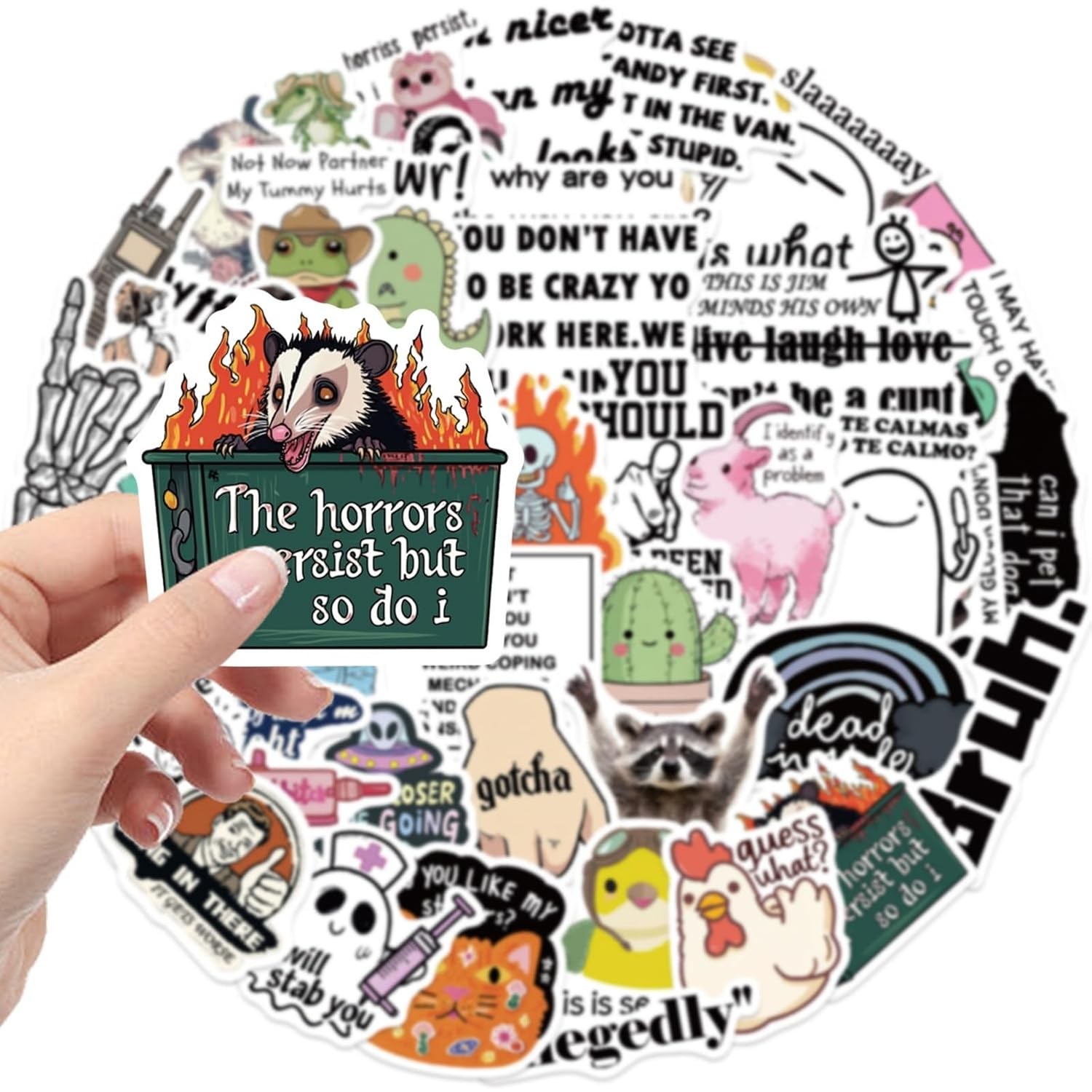 Adult Funny Meme Stickers Vinyl Stickers for Kids Teens Adults 50Pcs Set
