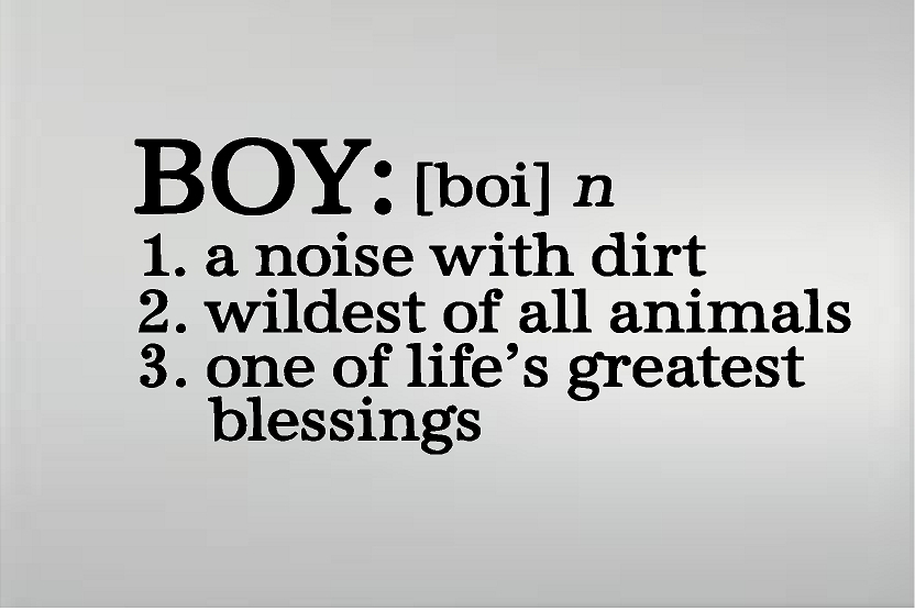 Boy: Definition Vinyl Decal Home Décor 10" x 20"