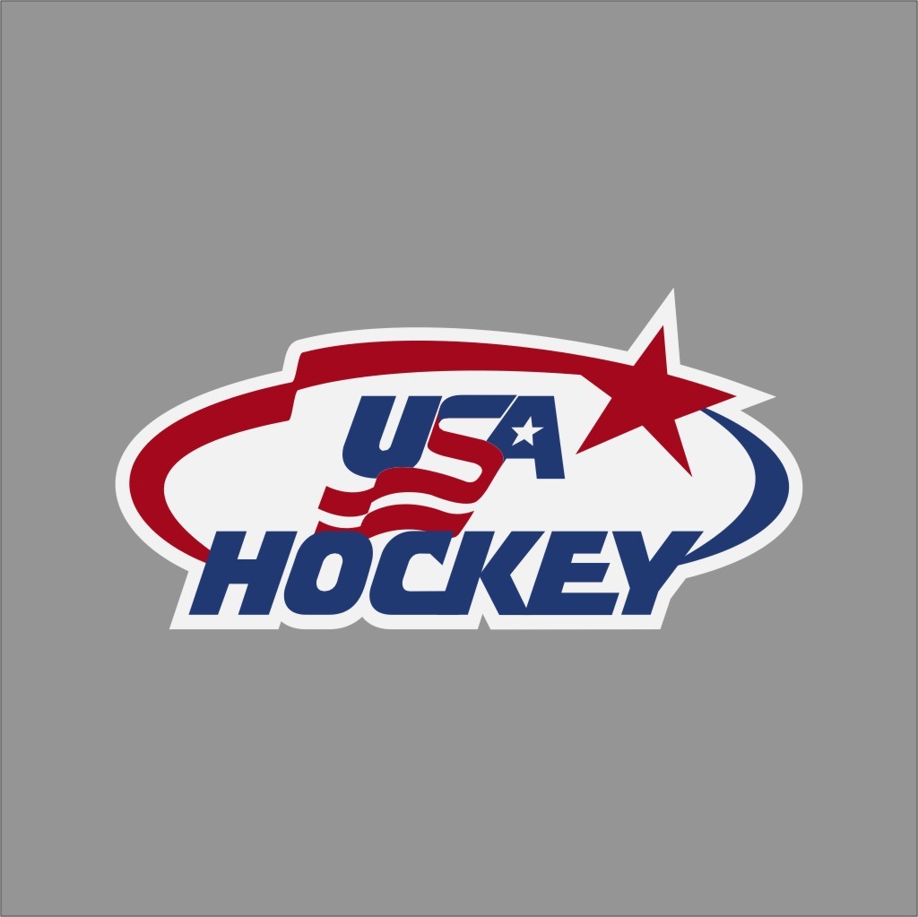 Team USA Hockey Logo Vinyl Decal Sticker Car Window Wall Cornhole
