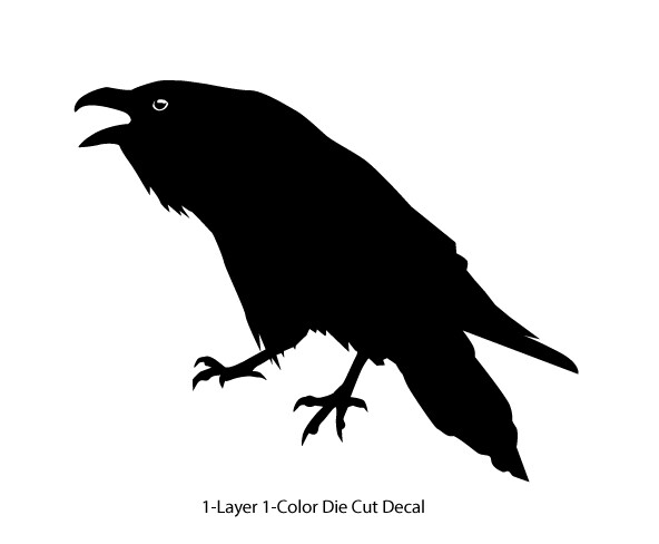 Wildlife – Birds – Cawing Raven/Crow/Corvid #3- 6Yrs Outdoor Vinyl Decal Sticker