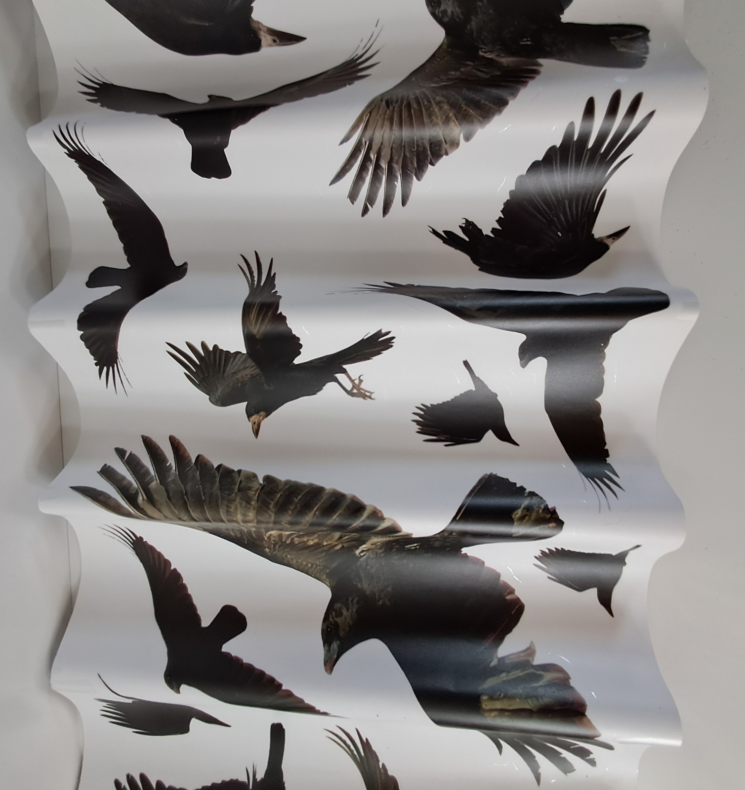Happy Halloween Blackbirds Crows Wall Art Self-Adhesive Removable