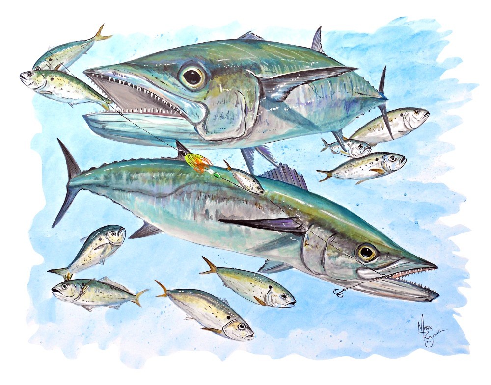 King Mackerel and Menhaden Vinyl Decal Sticker for Car/Truck Laptop or Phone