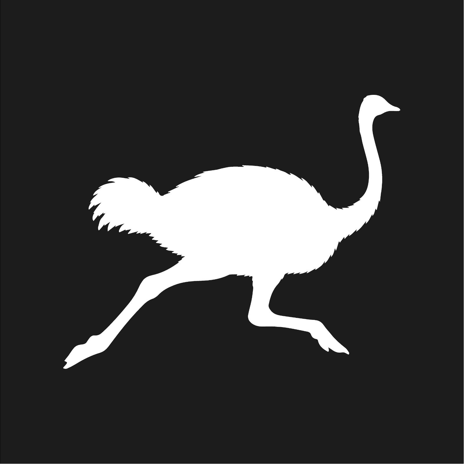 Ostrich Running Vinyl Decal Bird Silhouette Safari Wild Animal Car Sticker