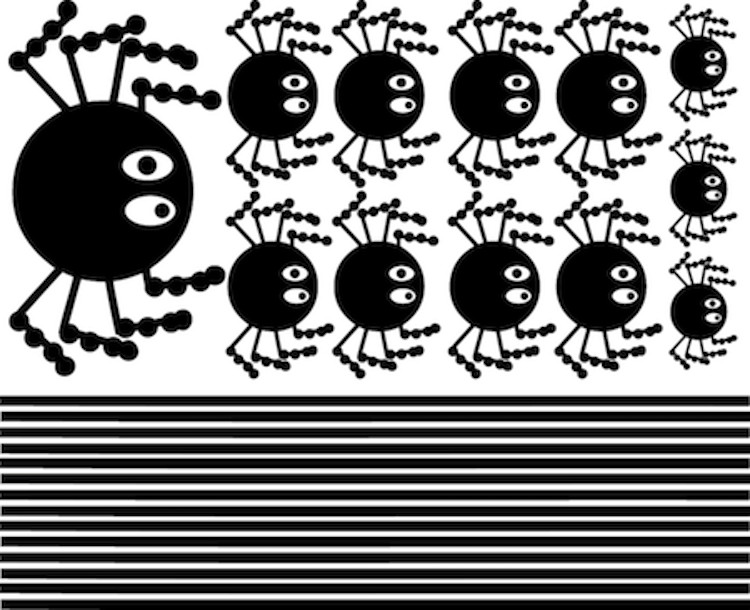 Halloween Spiders Wall Decals Seasonal Wallpaper Vinyls Scary Holiday Art, h01