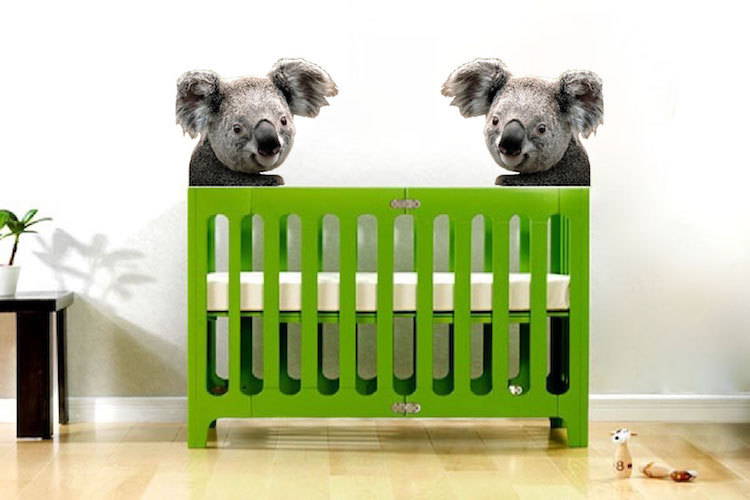Cute Koala Wall Decal Mural Australia Wild Animals Removable Bear Vinyl, a19