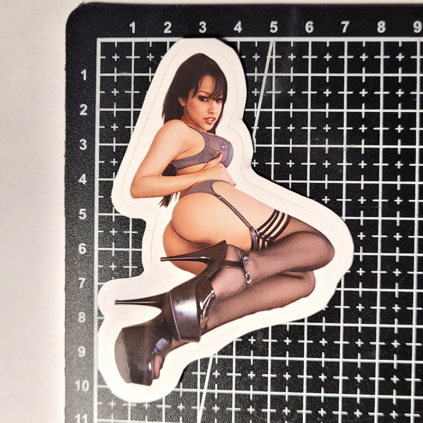 + BONUS Adult Film Actress Vinyl 13 HD Stickers Lot Booty PAWG Sexy Erotic Decor