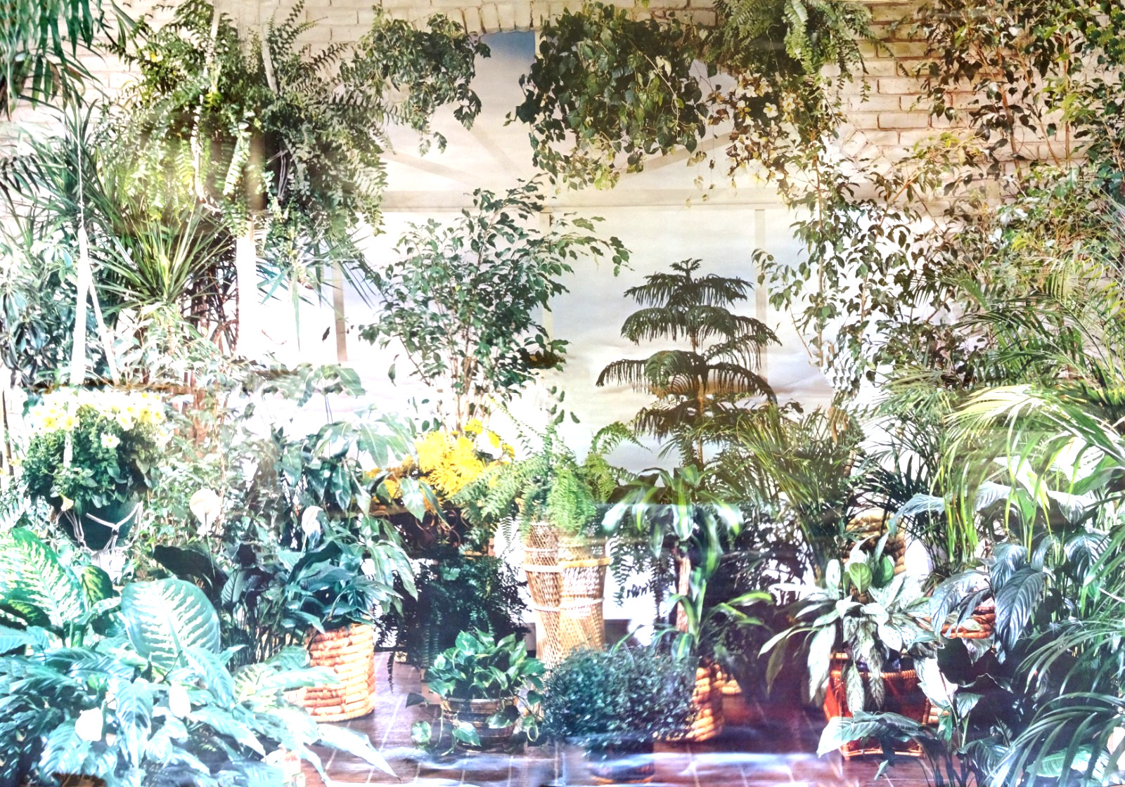 Full Wall Size Mural Tropical Plants Huge Window 8’ 8” x 12’ 6” NOS 108 Sq Ft A