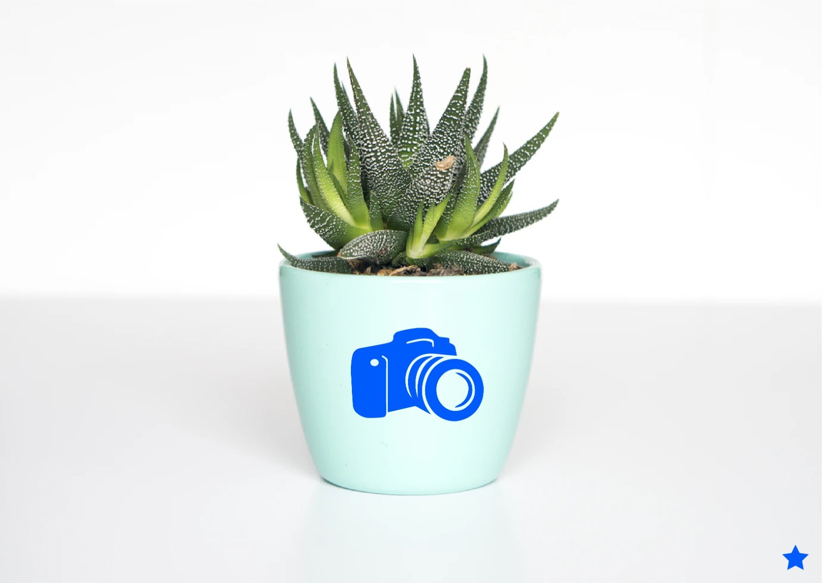 Camera Decal Sticker Cam Photo Photographer Art Pictures Hobby DSLR Digital Film