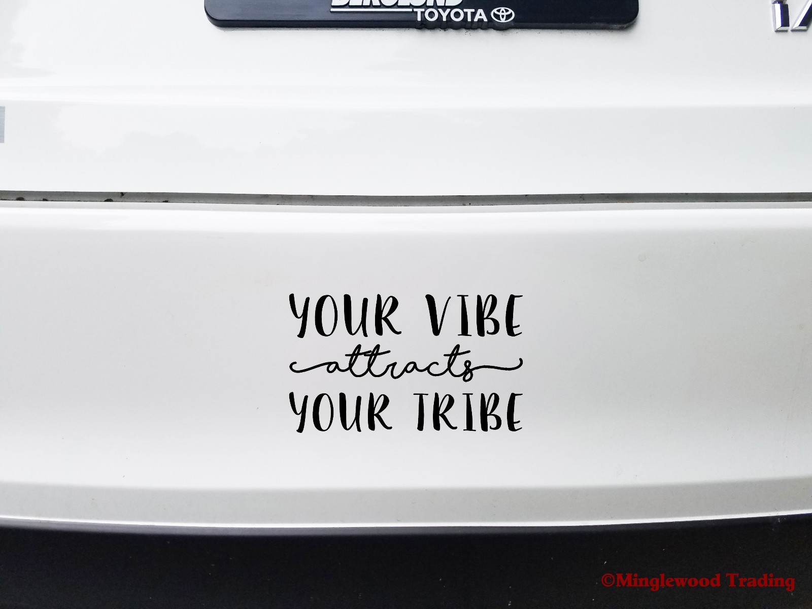 Your Vibe Attracts Your Tribe | Vinyl Decal Sticker