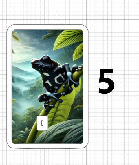 Frogs ATM DEBIT CREDIT STICKER SKIN USA Toad Jungle Colorful Poison Dart Frog US