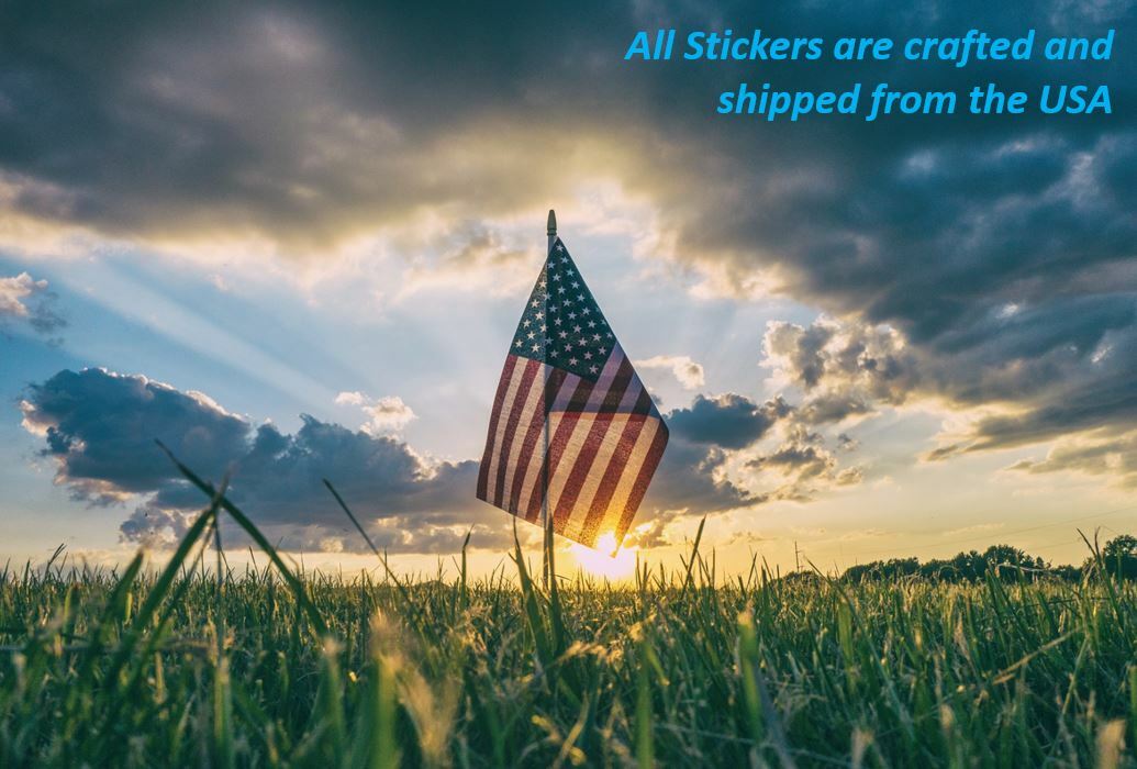 Star Stickers! Choose Your Size and Color Sheet! Free Shipping! Crafted in USA!