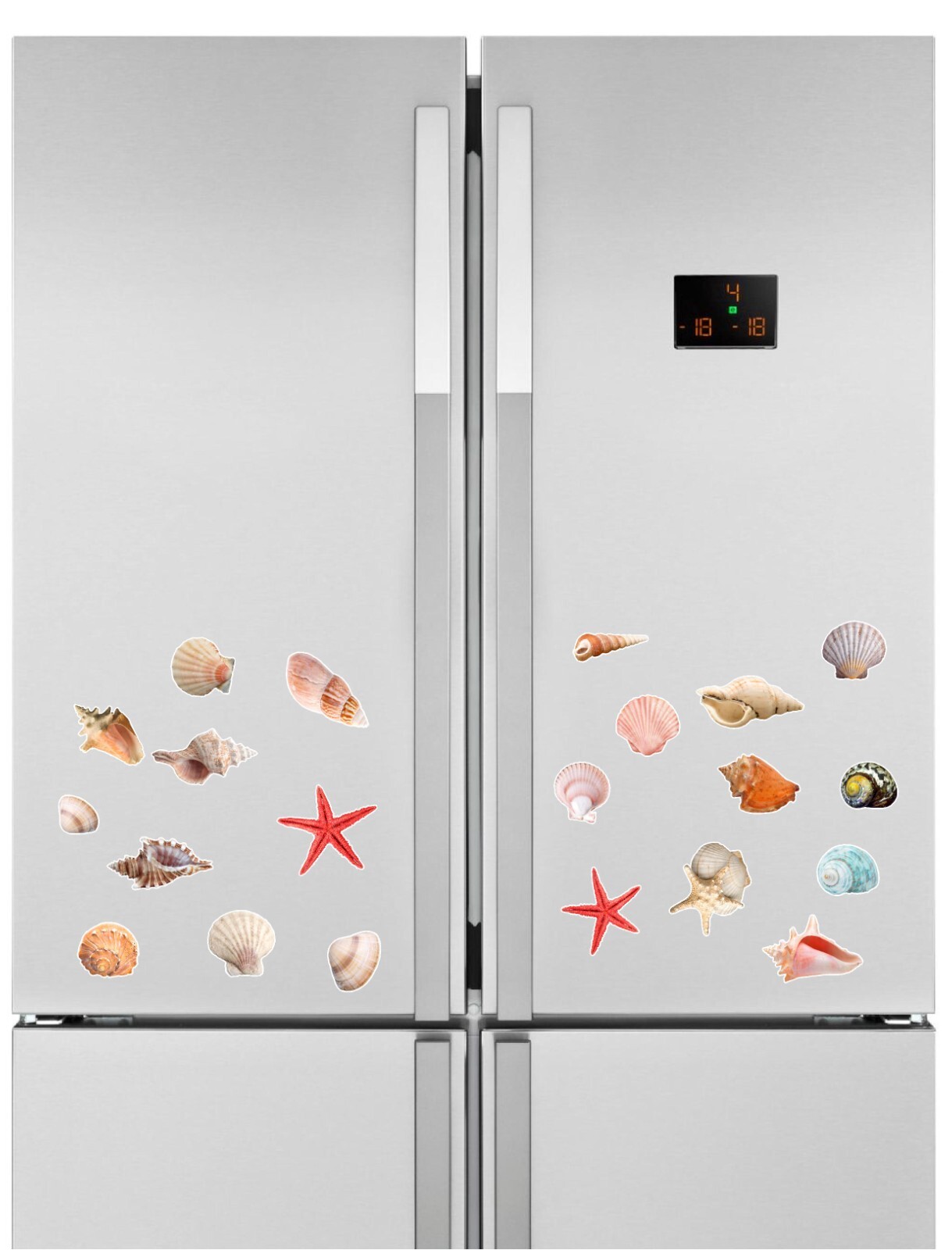 Seashells Realistic detailed sticker Beach theme Paradise colorful 24 Stickers