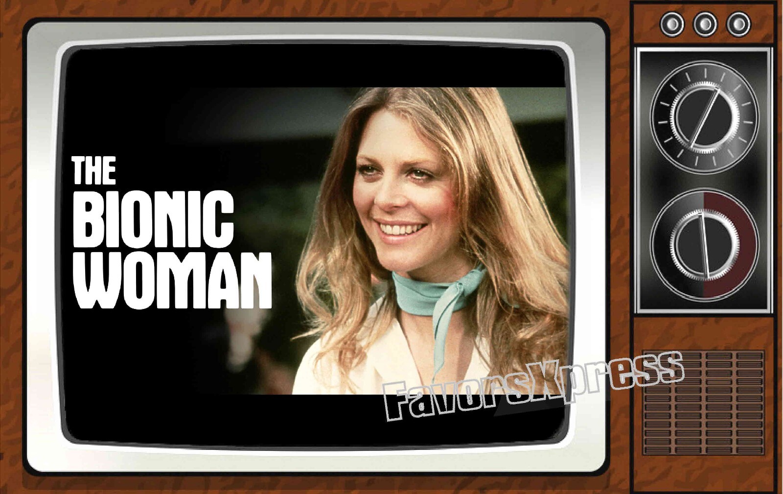 The Bionic Woman Classic TV Show PHOTO MAGNET 4 X 2.5 INCHES
