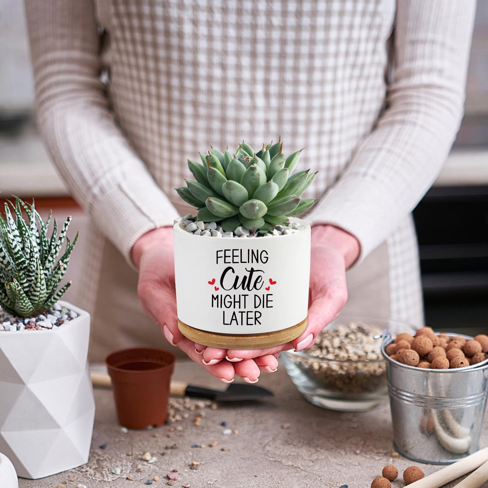 Feeling Cute Might Die Later,3.5 inch Ceramic Succulent Cactus Planter Pots,F…