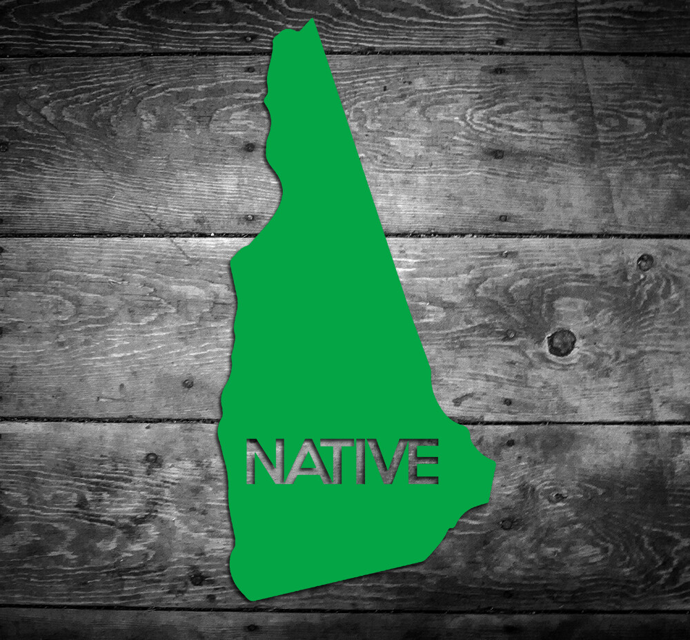 New Hampshire Native Vinyl Sticker Car Window Door Bumper Decal Pride Home NH