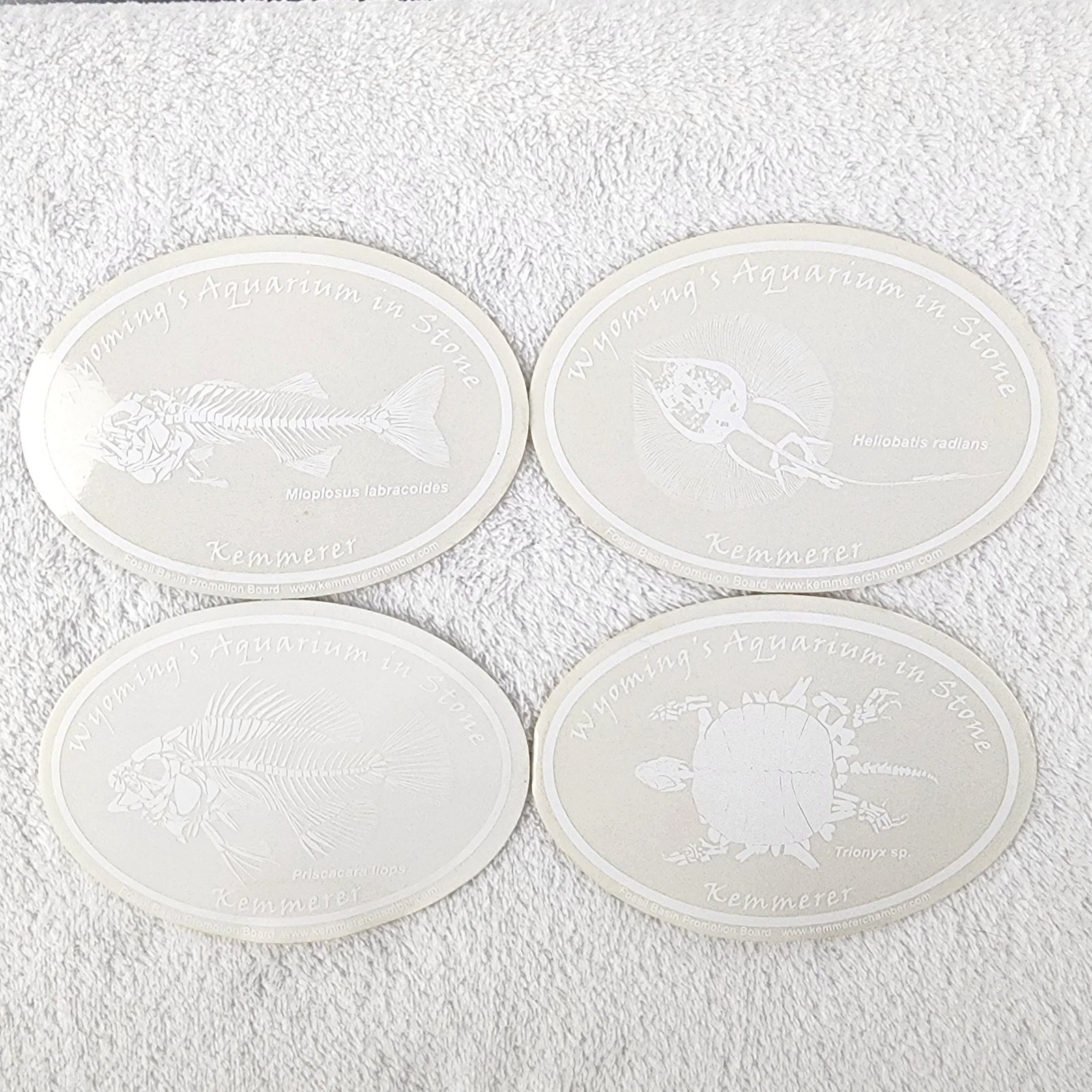 Fossil Butte National Monument WY An Aquarium in Stone Kemmerer Decals CLEAR/WHT