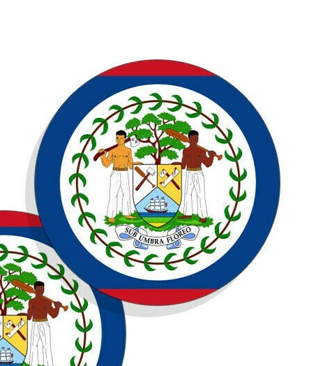 Belize Flag Stickers Flag Decals Vinyl Indoor Outdoor Stickers Round 4 pack