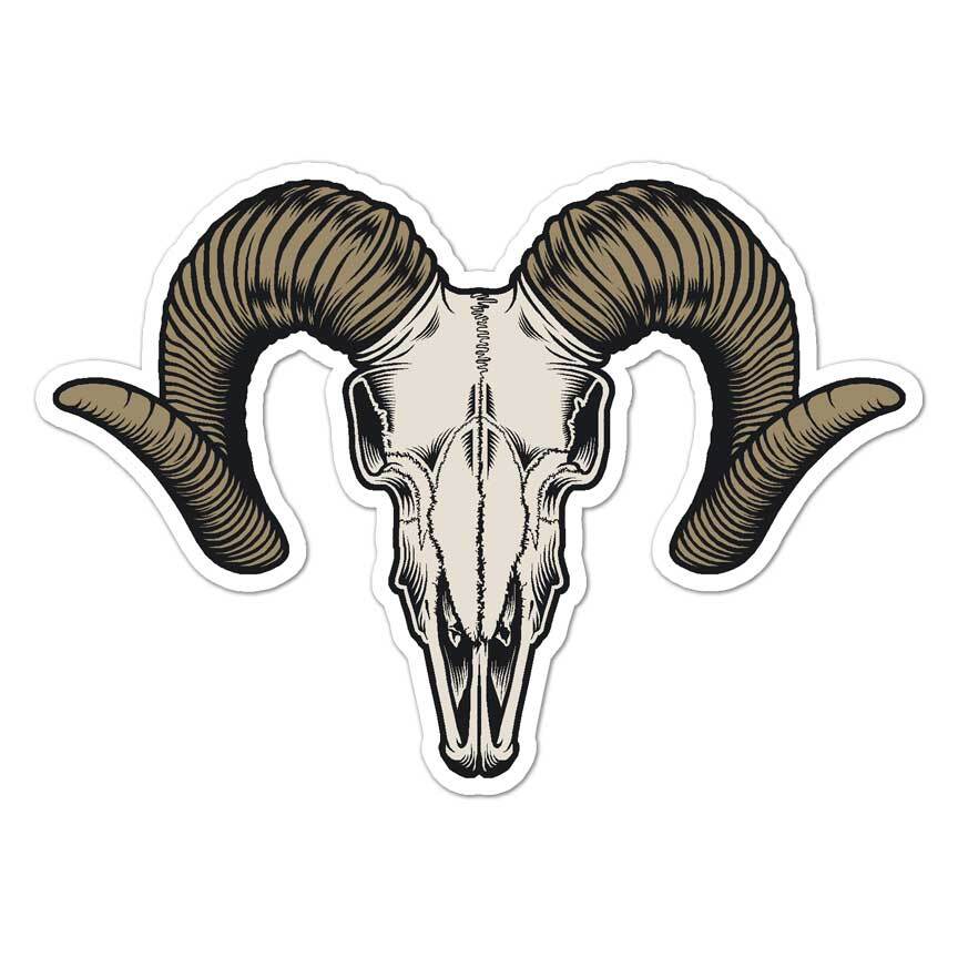 Bighorn Sheep, Vinyl Decal Sticker, Indoor Outdoor, 3 Sizes, #7810