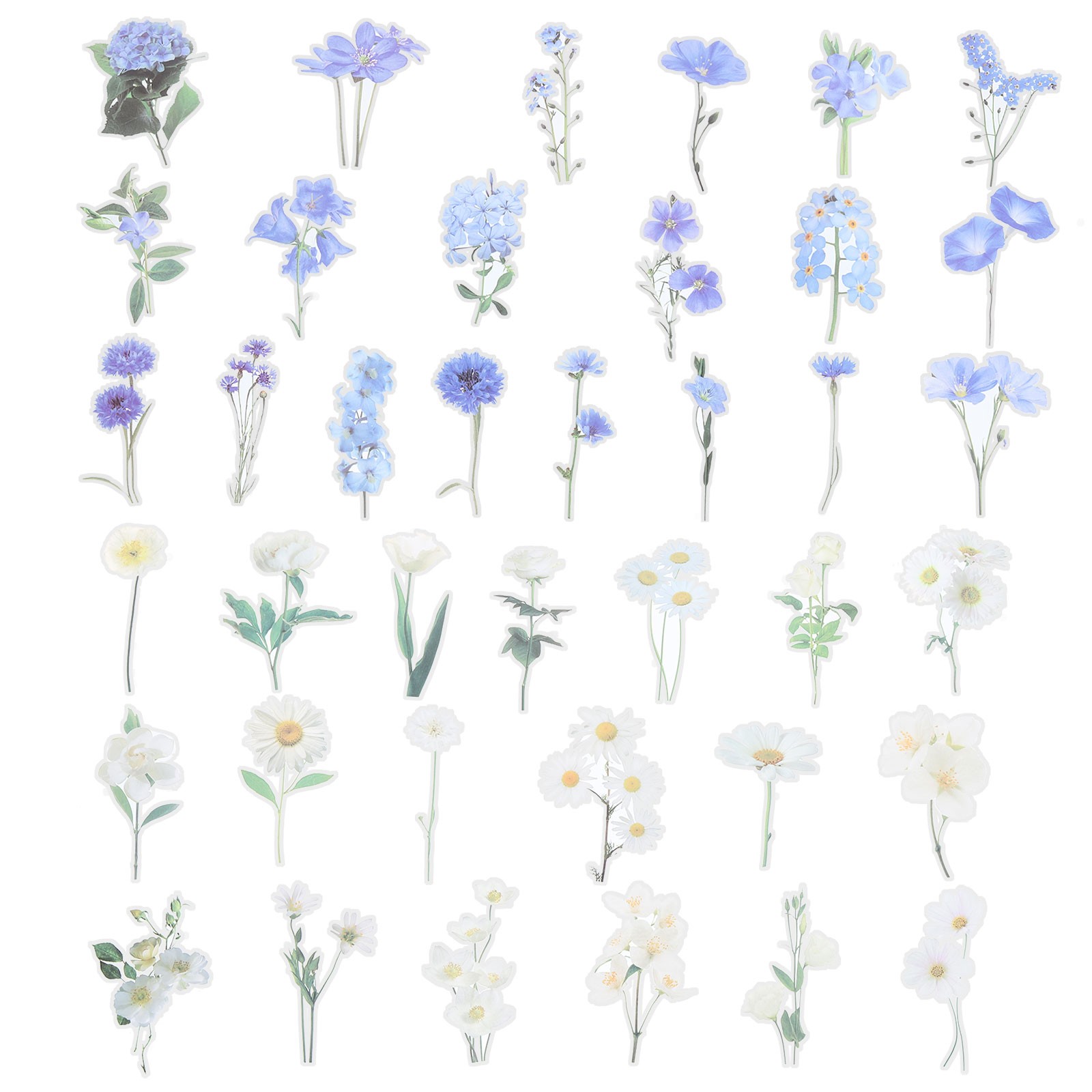 80 Sheet Clear Flower PET Sticker, Waterproof Flower Decal, Blue & Green