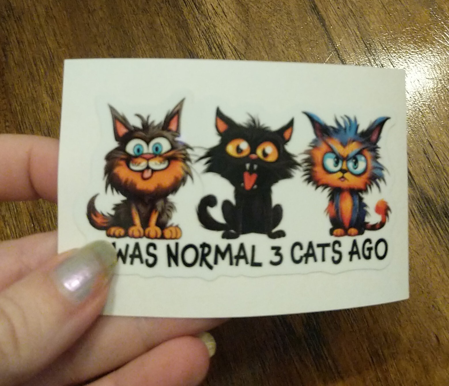 3.5" I Was Normal 3 Cats Ago Decal Vinyl Sticker Crazy Cat Lady Funny Pet Life