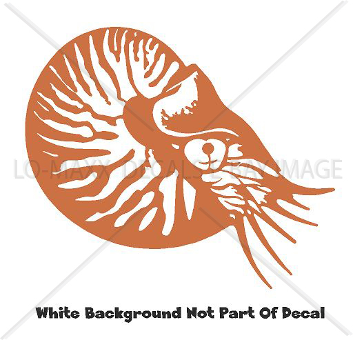Nautilus Sea Life Contemporary Art Nature Ocean Die Cut Vinyl Decal Sticker