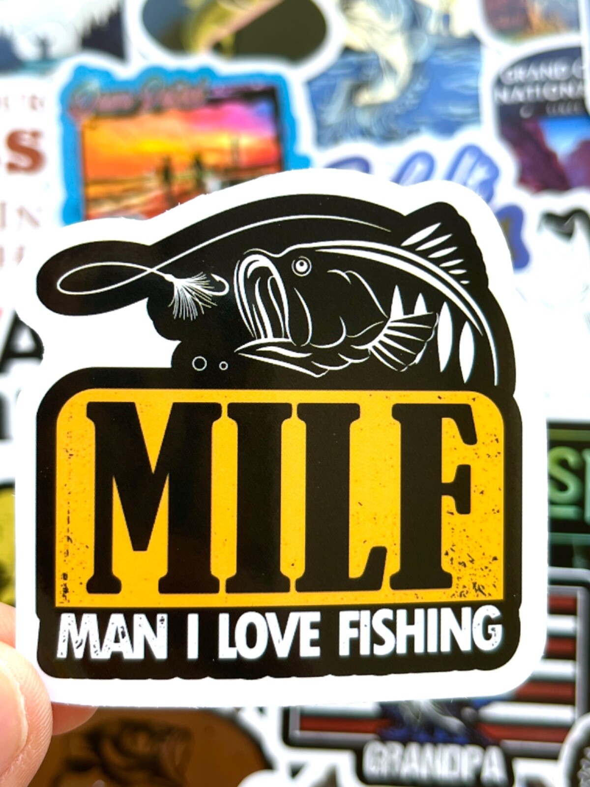 5-50 pcs Fishing Stickers, Cool Boho Boat Lake Phone Kindle Journal Laptop Decal