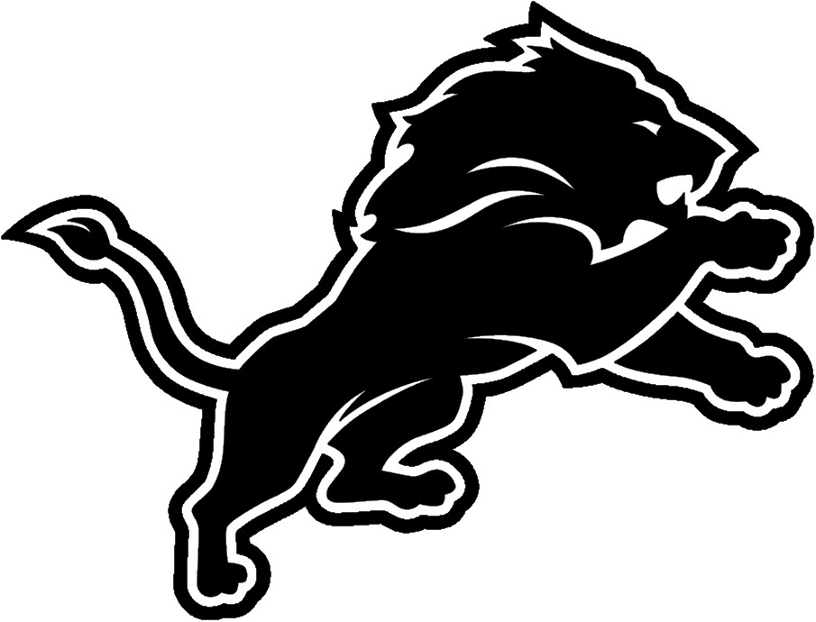 Vinyl Decal Truck Car Sticker Laptop – Football NFL Detroit Lions