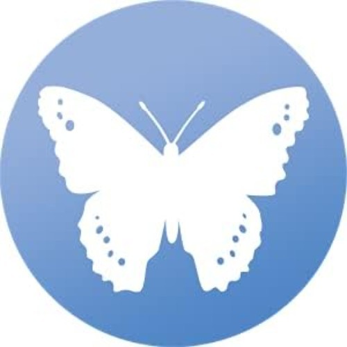 Butterfly Anti-Collision Window Decal Set – UV-Reflective Bird Safety Stickers