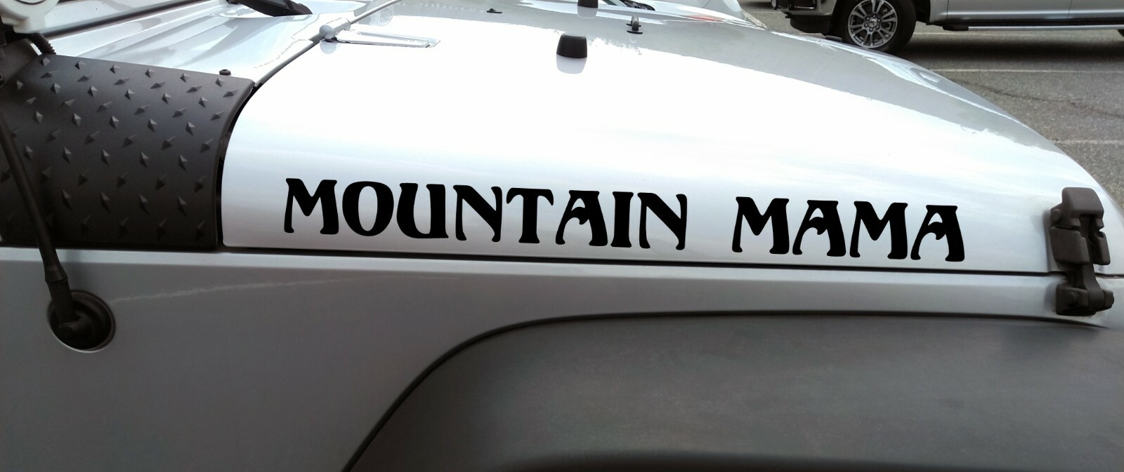 Set of 2 Custom Truck Hood Side Decals V1 | 4×4 Personalized Die Cut Stickers |