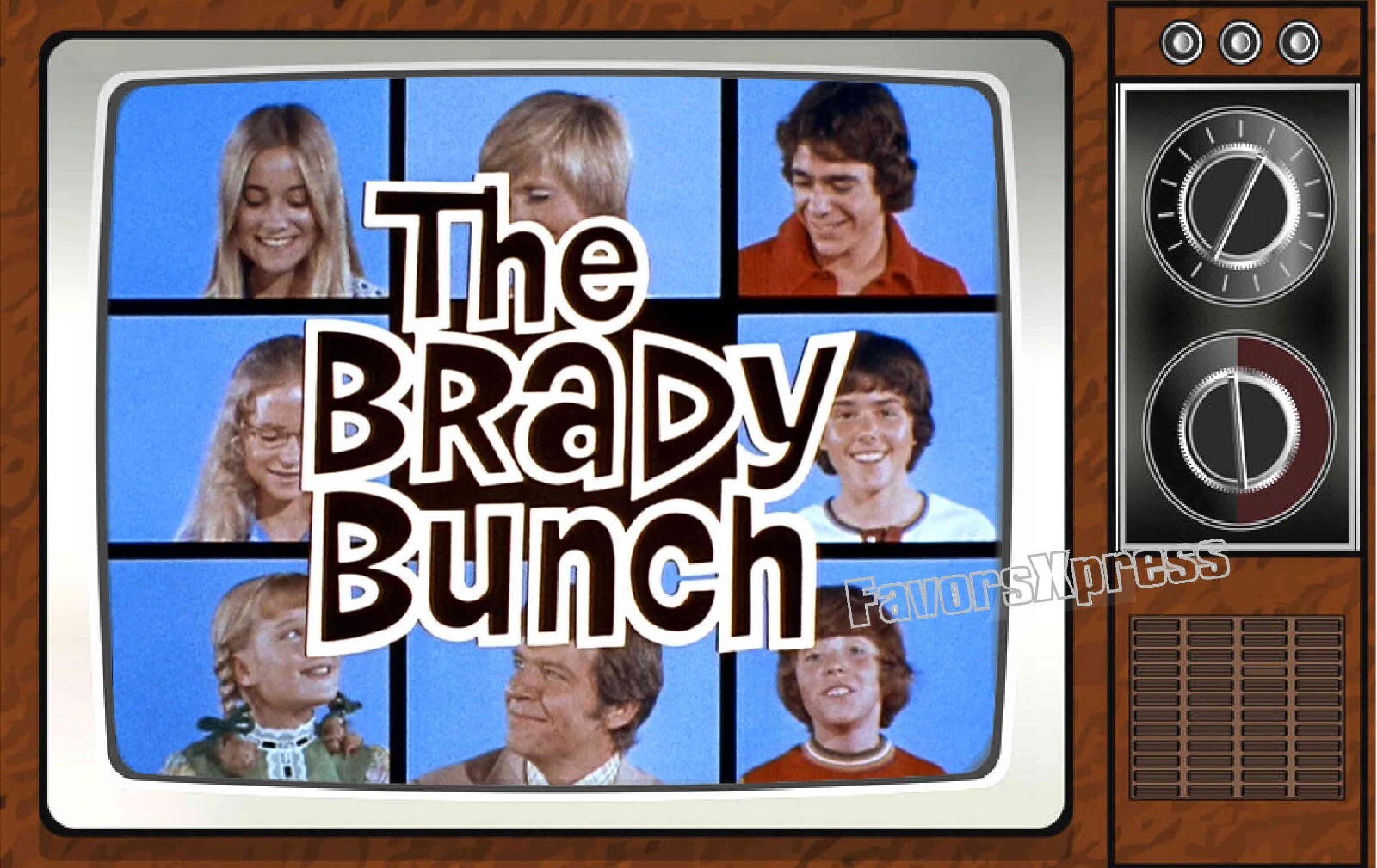 The Brady Bunch Classic TV Show PHOTO MAGNET 4 X 2.5 INCHES