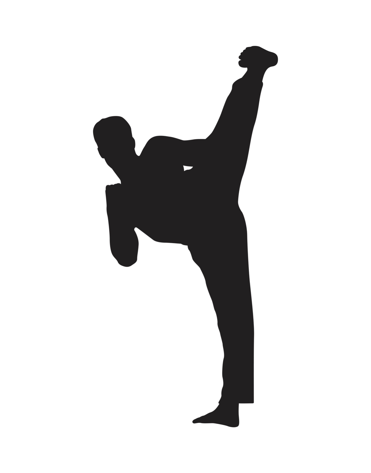 Karate Kick Vinyl Wall Decal Sticker. #224