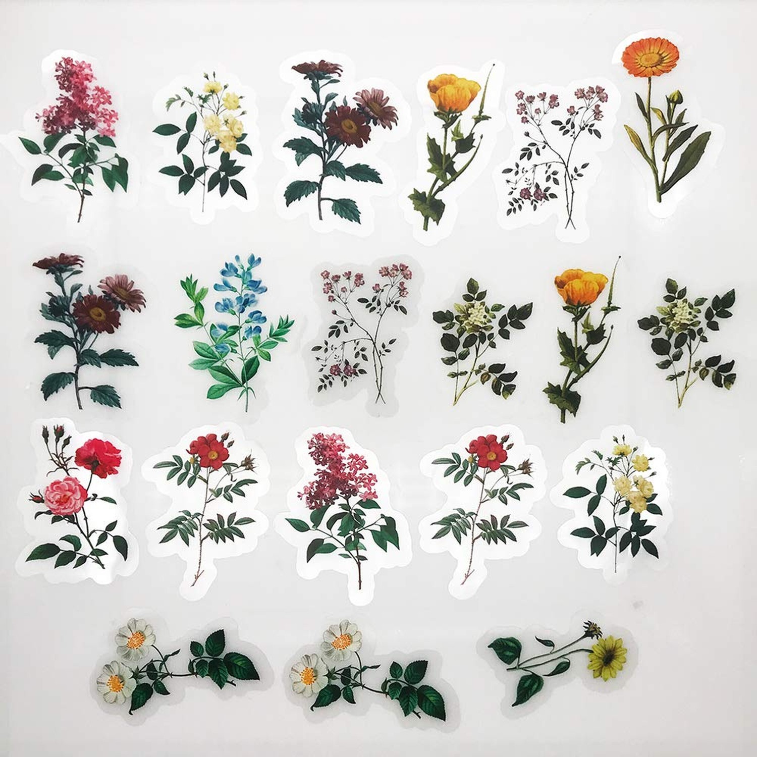 Vintage Natural Stickers, 40Pcs Pretty Floral Decorative Retro Adhesive Water…