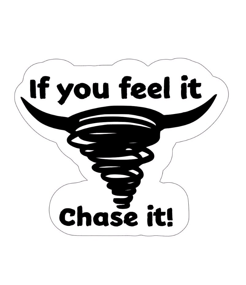 Twisters 2024 Movie Style Vinyl Decal Sticker "Chase It" Glen Powell 6×5 Inches!