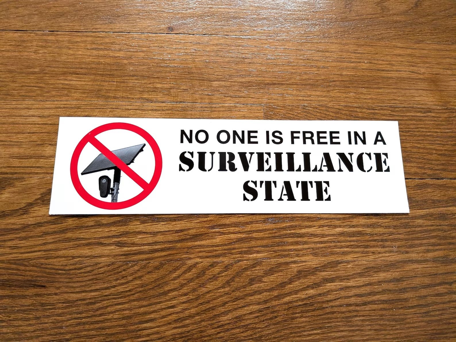 No One Is Free in Surveillance State Bumper Sticker / Magnet – Anti-Flock Camera