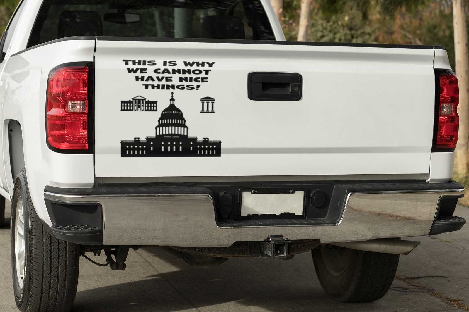 This is why we cannot have nice things Vinyl decal anti government funny