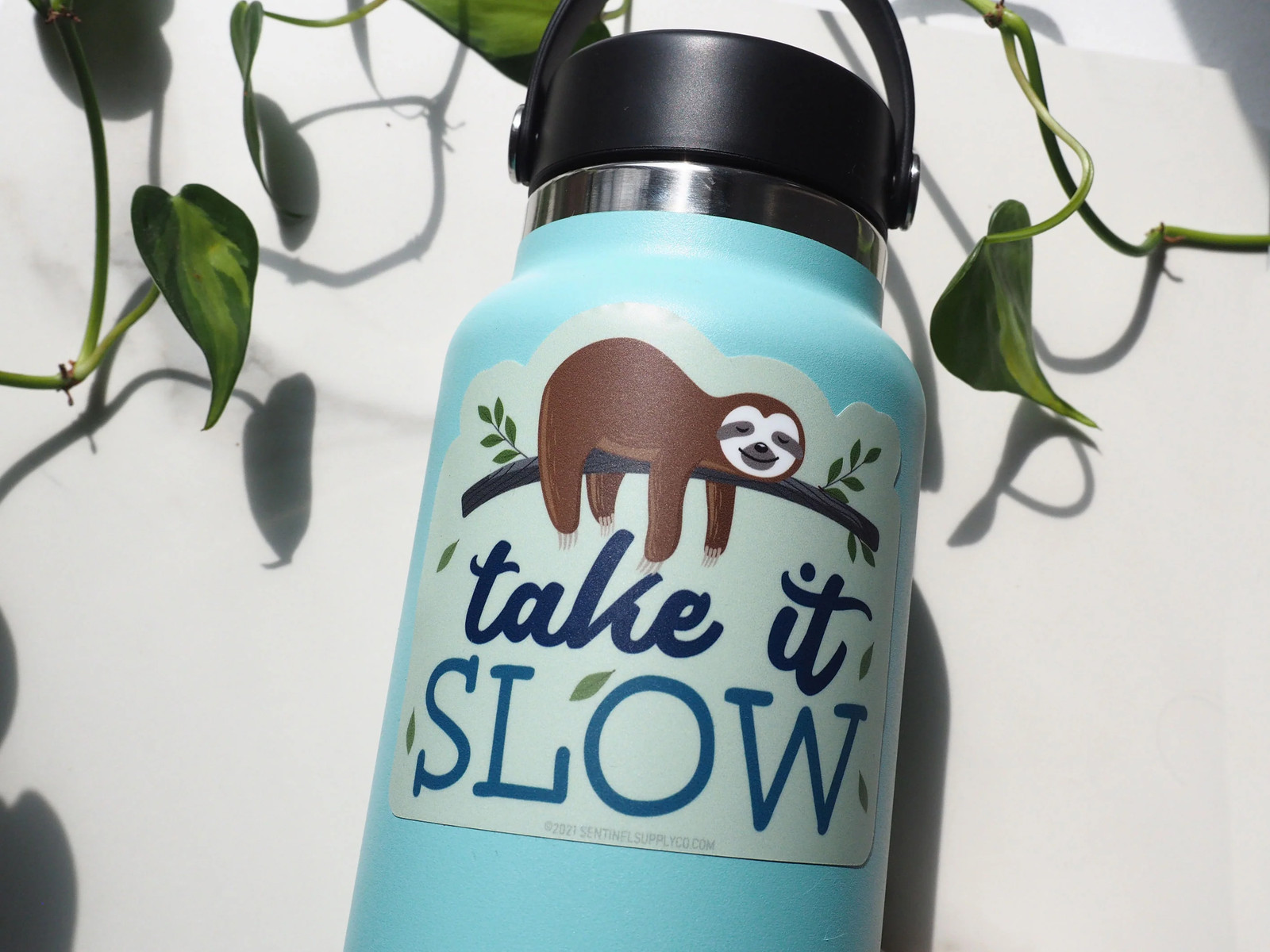 Take It Slow Sloth Sticker