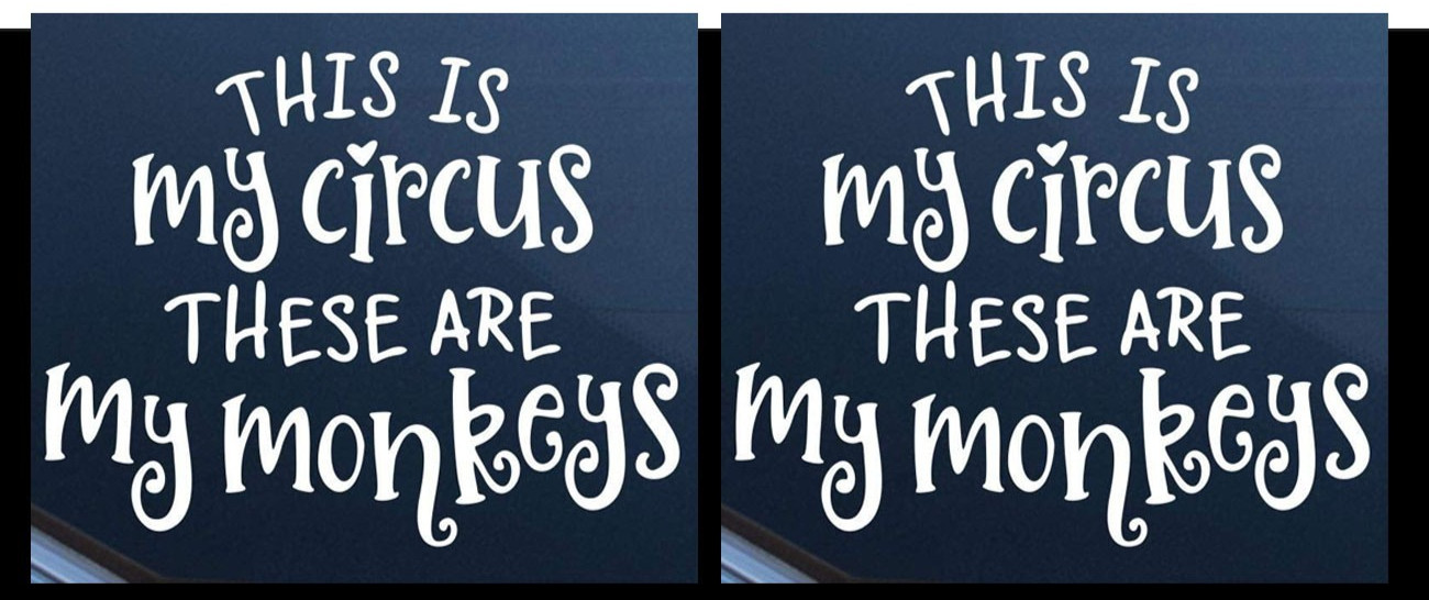 This is My Circus These Are My Monkeys Two 5" Vinyl Decals Car Truck Window