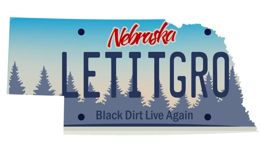 🌹⚡️GRATEFUL DEAD Nebraska Let It Grow Sticker *NEW* Measures 3" x 1.5"⚡️🌹
