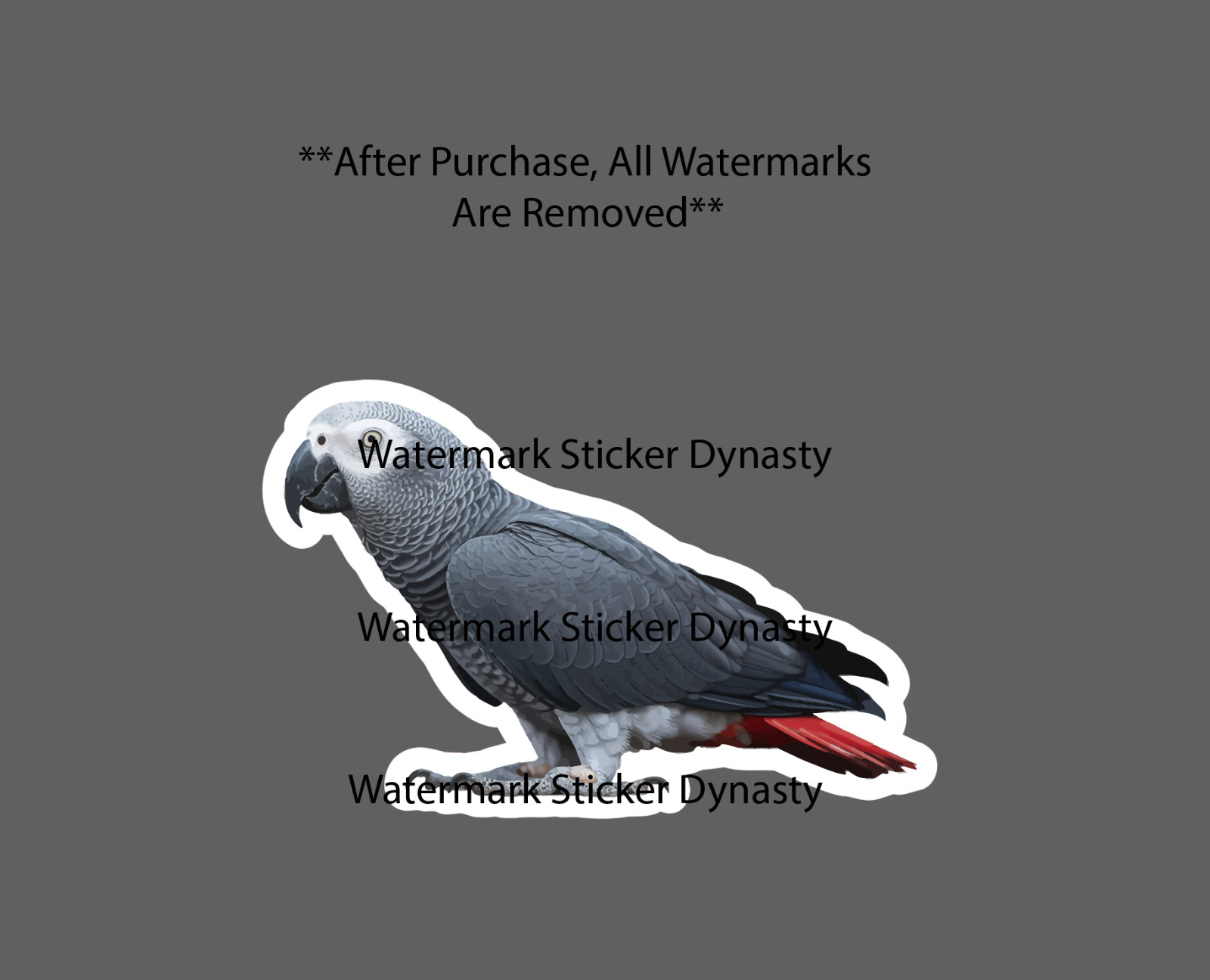African Grey Parrot Sticker Waterproof Decal Bird Pet Animal Exotic Gift NEW