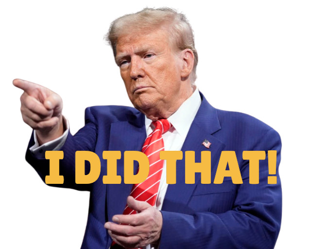 6 pc Trump I Did That Stickers, Gas Pump Stickers, High Quality Vinyl