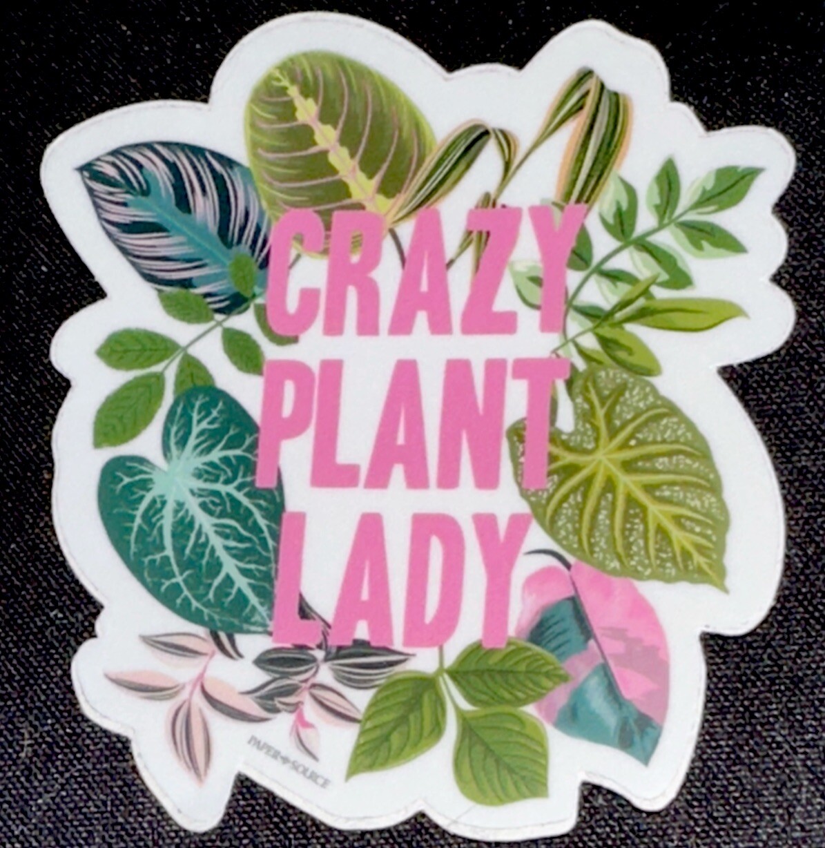 CRAZY PLANT LADY STICKER✨🌿🪴🌸🍃✨3” X 2 3/4”✨AWESOME EARTH🌎✨Paper Sorce✨💫
