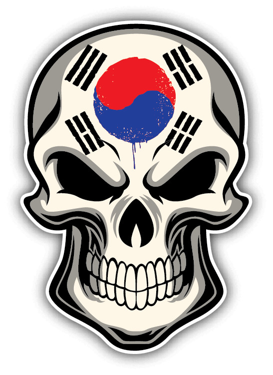 South Korea Flag Skull Car Bumper Sticker Decal