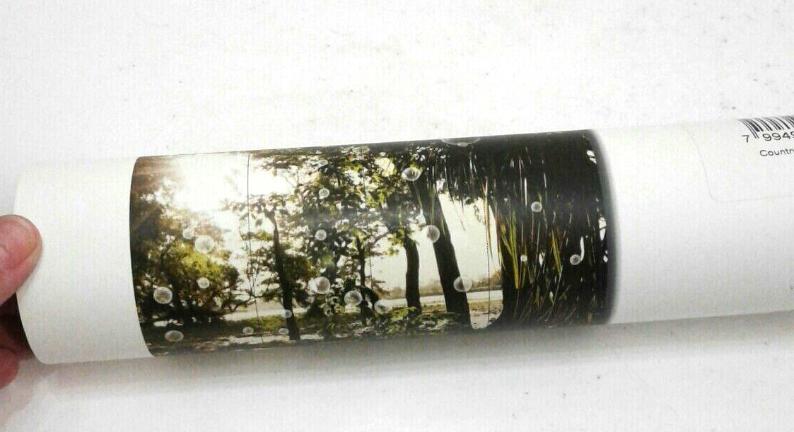 JP London MD4A160 Enchanted Forest Waiting For Wind Removable Mural 8.5' x 6'