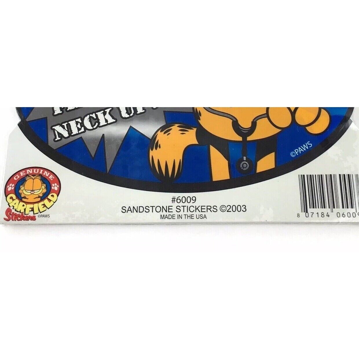 Garfield Funny Cat Sticker You Need Check Up From Neck Up Vintage 6×3.5"