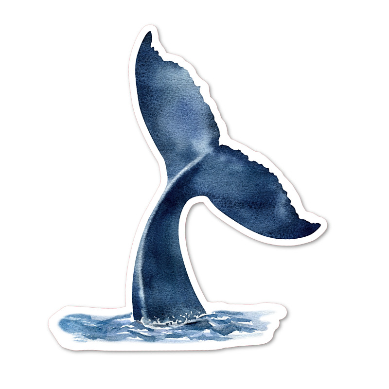 Whale Tail, Sealife Vinyl Sticker, Water Resistant, Indoor Use, 2 Sizes