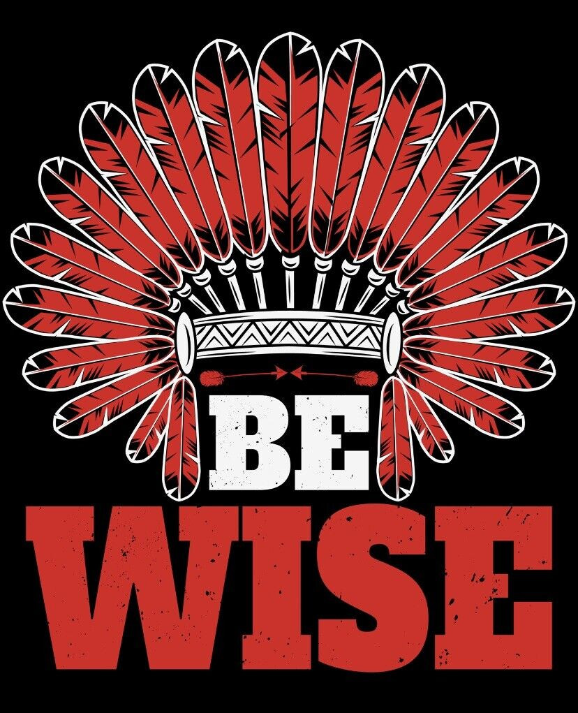 Be Wise Native American Sticker Decal