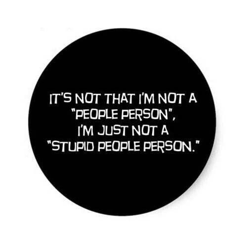 Stupid People Person Funny Sticker Decal introvert