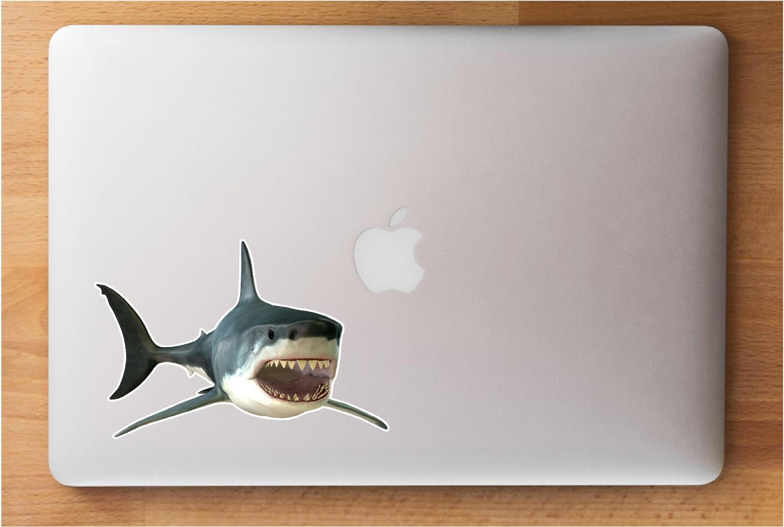 Shark Wall Sticker Kids Room Decoration or Office Smooth Surface Amazing Design