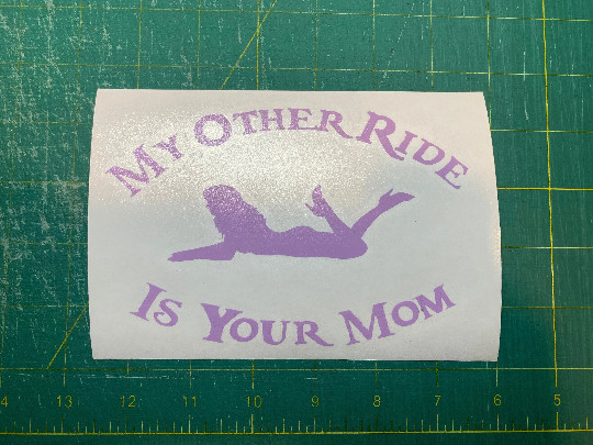 My Other Ride Is Your Mom Vinyl Decal – 30+ Colors